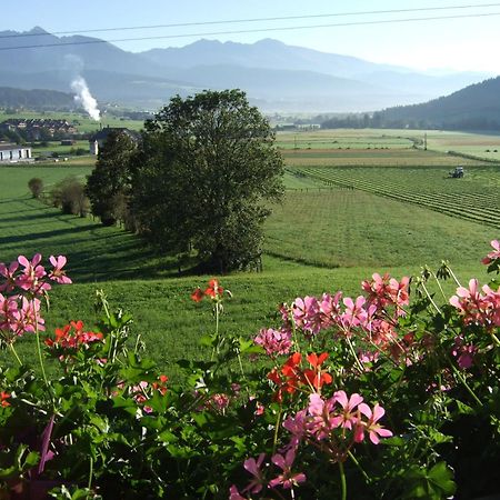 Ferienwohnungen Trattner Mauterndorf  Esterno foto