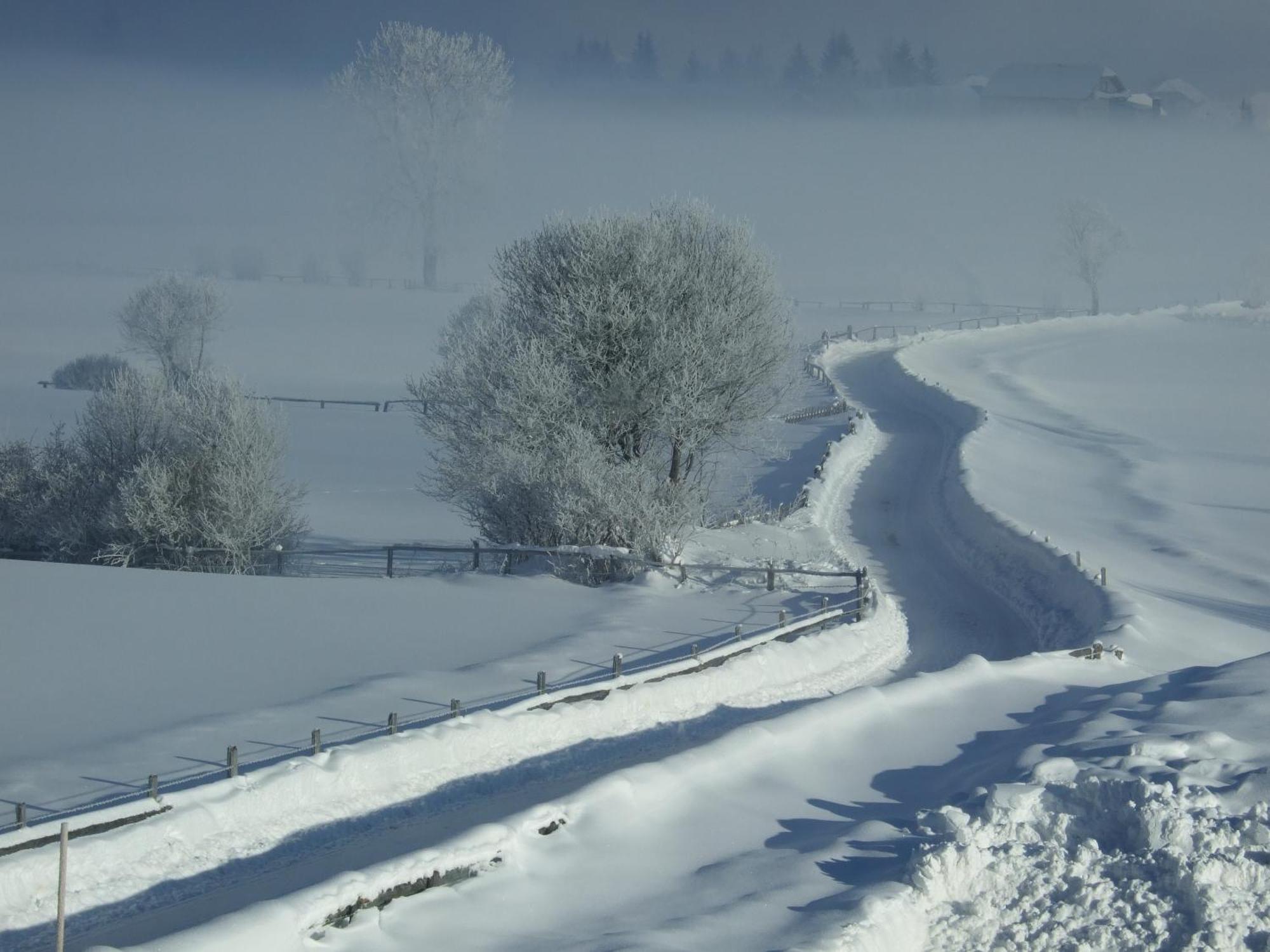 Ferienwohnungen Trattner Mauterndorf  Esterno foto