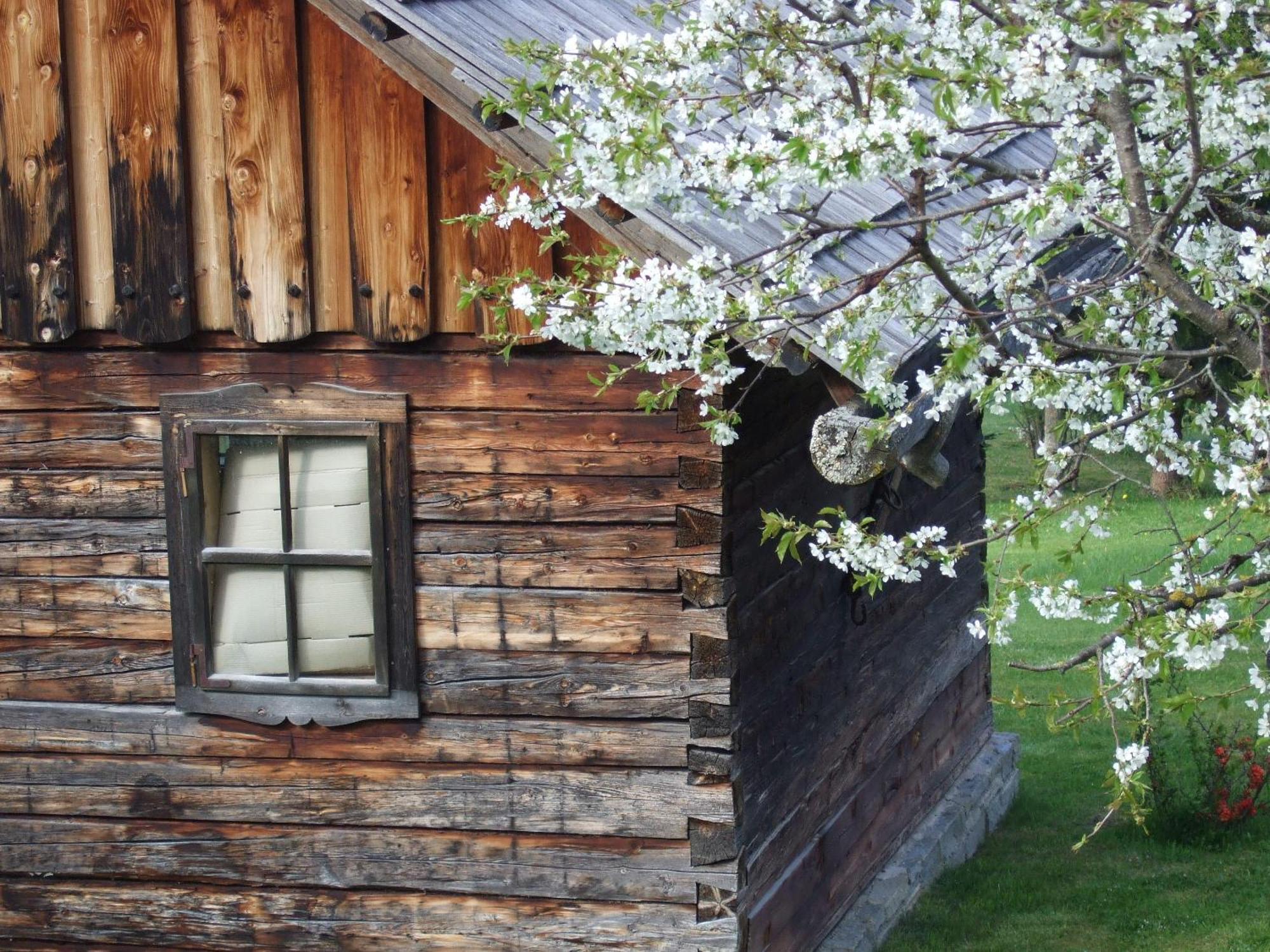 Ferienwohnungen Trattner Mauterndorf  Esterno foto